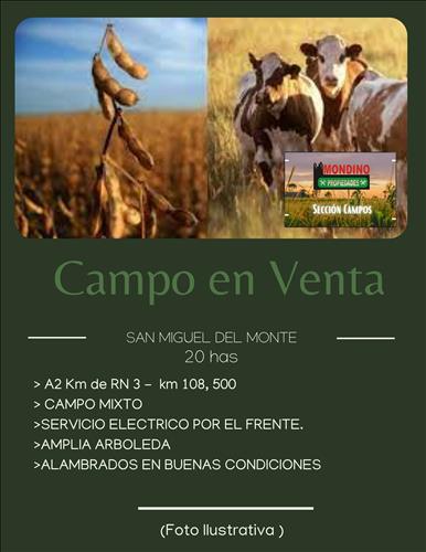 MONDINO PROPIEDADES