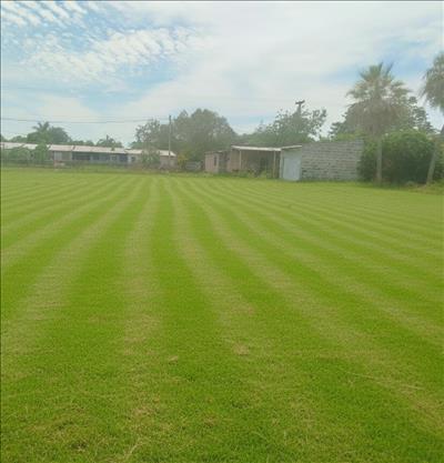 Inmobiliaria Brunelli