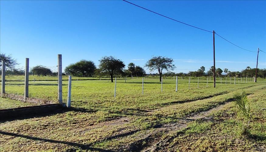 Inmobiliaria Brunelli