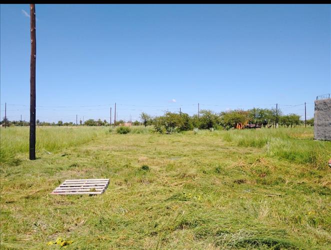 Inmobiliaria Brunelli