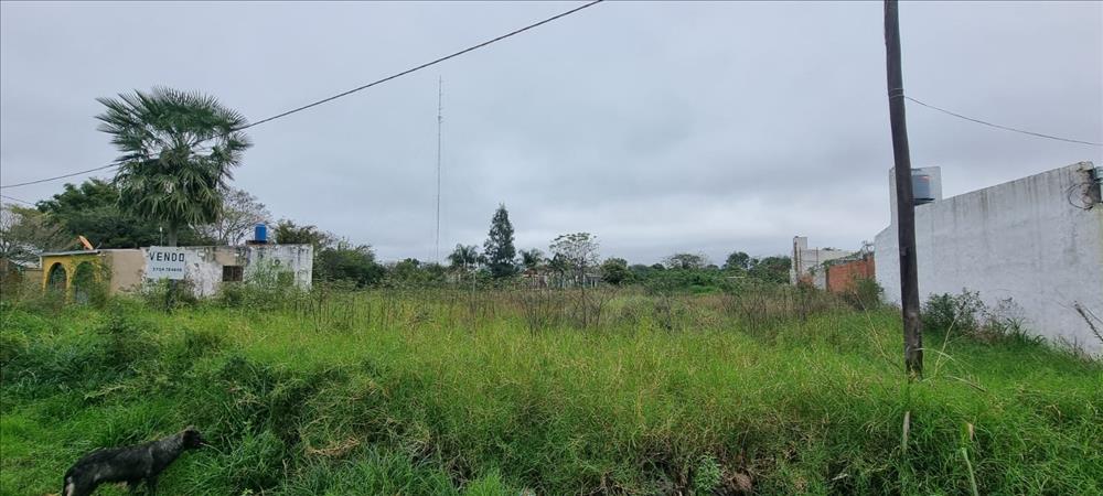 Inmobiliaria Brunelli