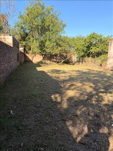 Inmobiliaria Brunelli