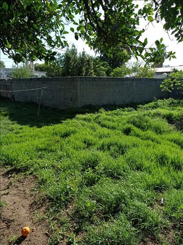 Garombo Inmobiliaria