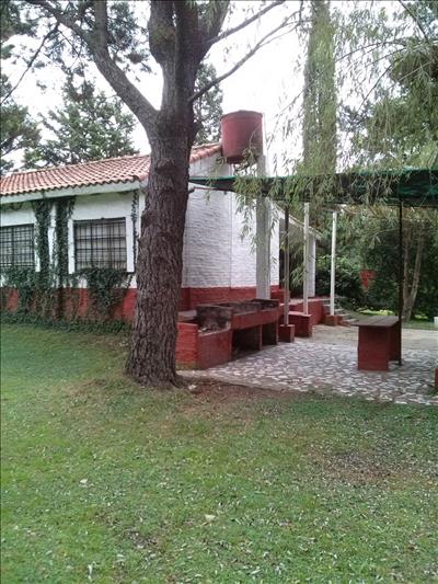 Petrungaro-Higuera