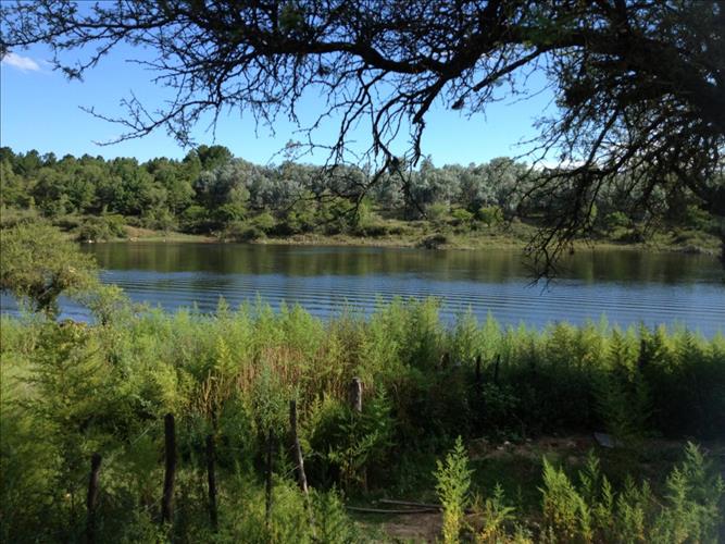 Inmobiliaria Ciudad y Campo