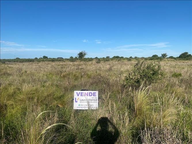 LAURA VILLARREAL NEGOCIOS  INMOBILIARIOS CPI 4812