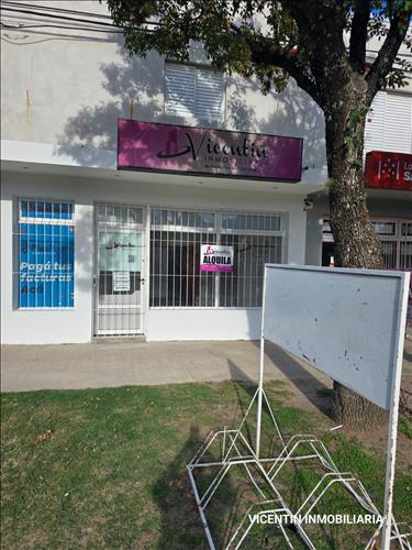 VICENTIN INMOBILIARIA