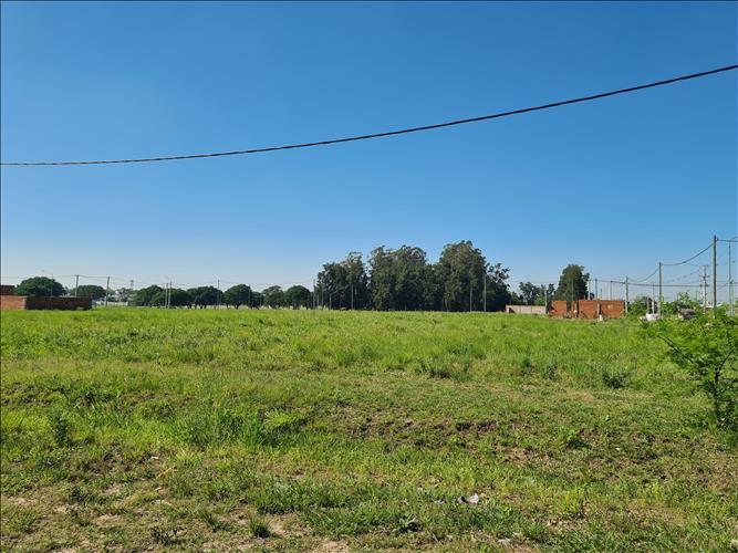 VICENTIN INMOBILIARIA