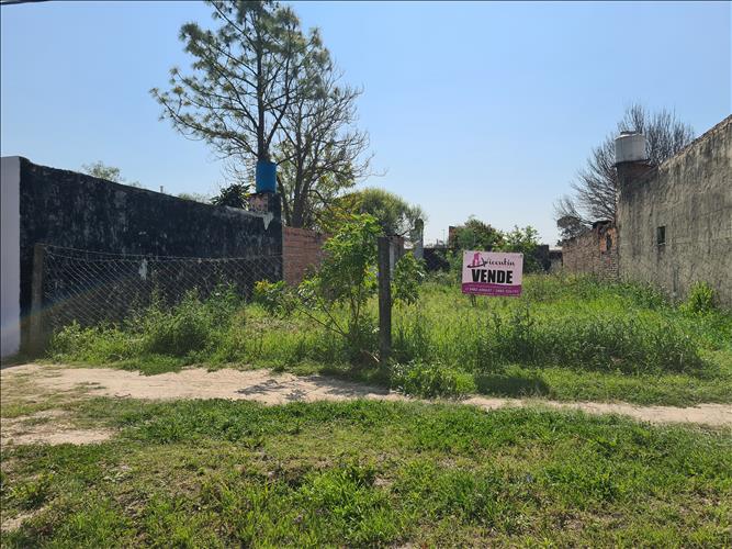 VICENTIN INMOBILIARIA
