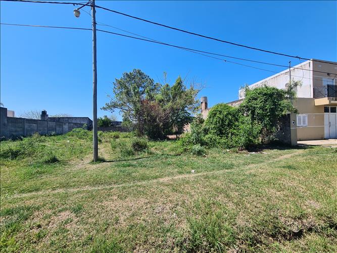 VICENTIN INMOBILIARIA