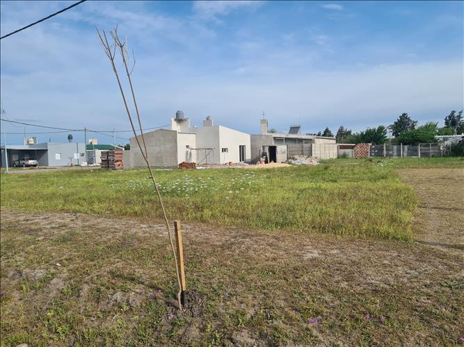 VICENTIN INMOBILIARIA
