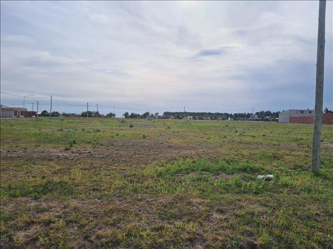VICENTIN INMOBILIARIA