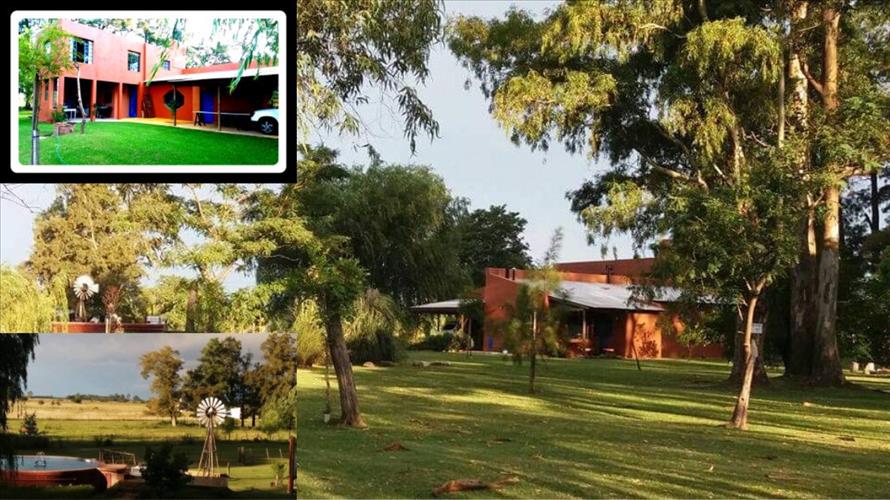 Horacio Rey Bienes Raices
