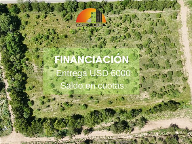 Espindola Inmobiliaria